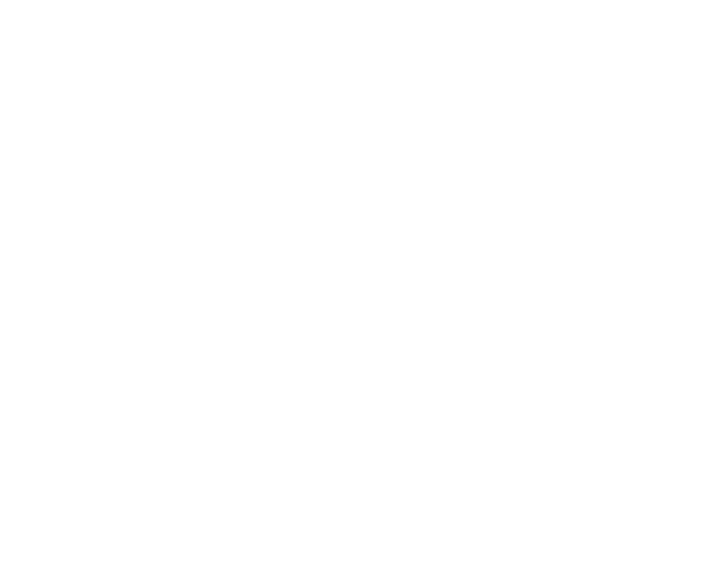 The Master Framer Logo